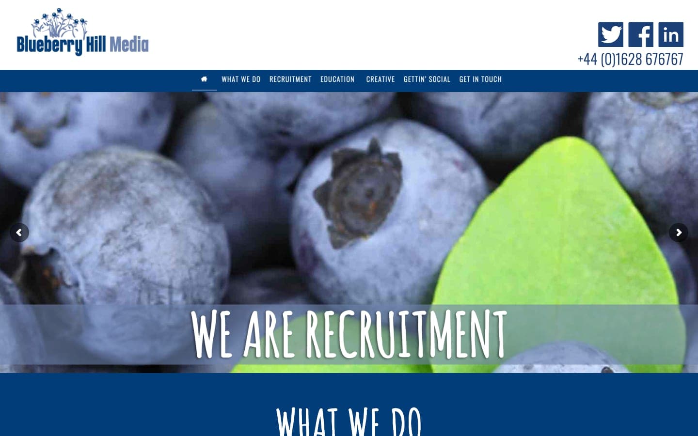 Blueberry Hill Media homepage