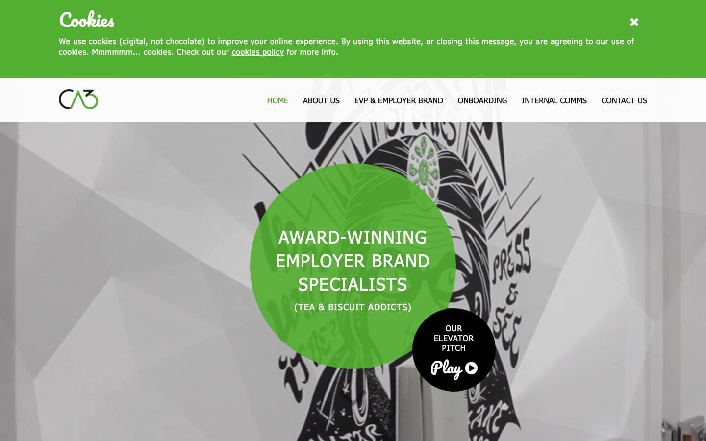 CA3 homepage
